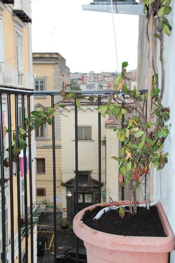 Tiny Daisy House Apartment Naples Luaran gambar